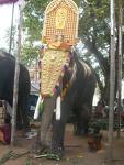 Elephant with thidambu